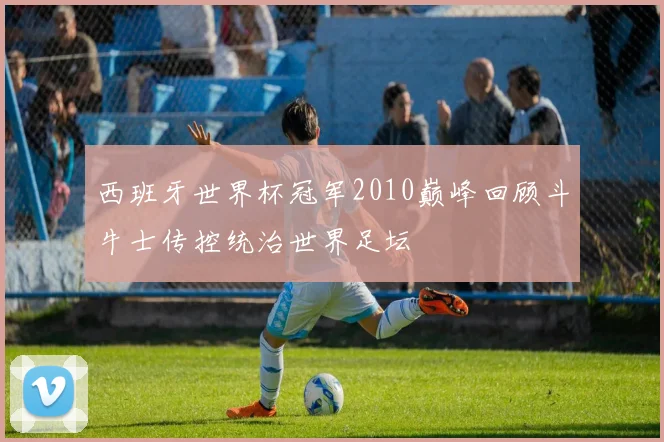 西班牙世界杯冠军2010巅峰回顾斗牛士传控统治世界足坛