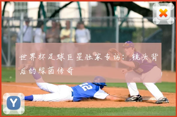 世界杯足球巨星独家专访：镜头背后的绿茵传奇