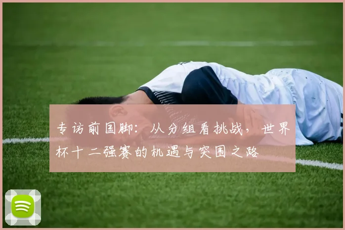专访前国脚:从分组看挑战,世界杯十二强赛的机遇与突围之路