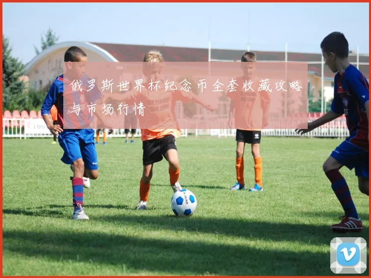 俄罗斯世界杯纪念币全套收藏攻略与市场行情