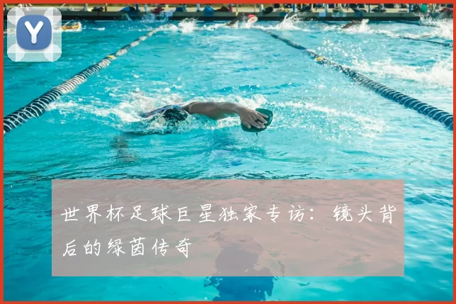 世界杯足球巨星独家专访:镜头背后的绿茵传奇
