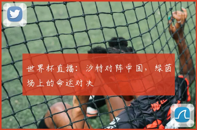 世界杯直播：沙特对阵中国，绿茵场上的命运对决
