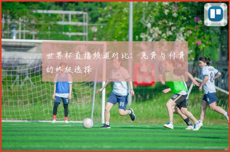 世界杯直播频道对比：免费与付费的终极选择